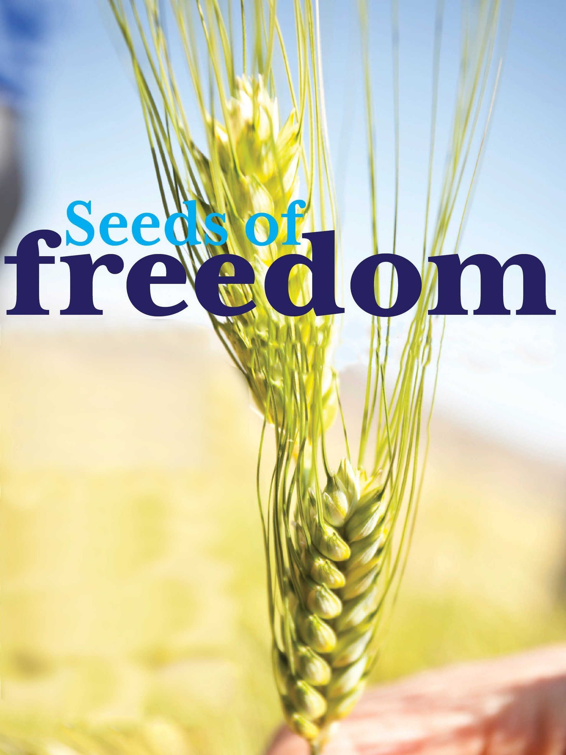 Постер Seeds of Freedom